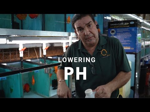 YouTube video about: How to lower the ph in a fish tank?