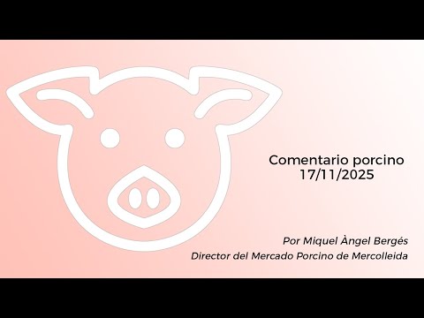 Comentario porcino - 17/11/2025