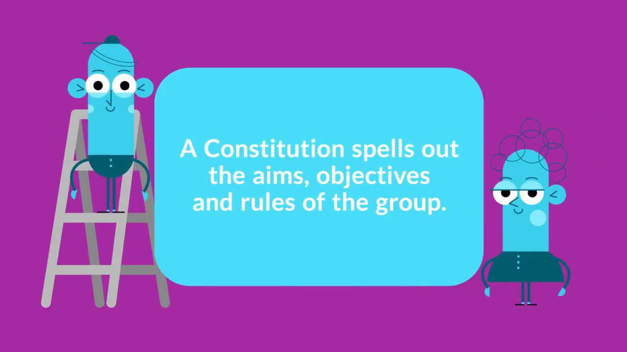 How to: Understand Your Constitution
