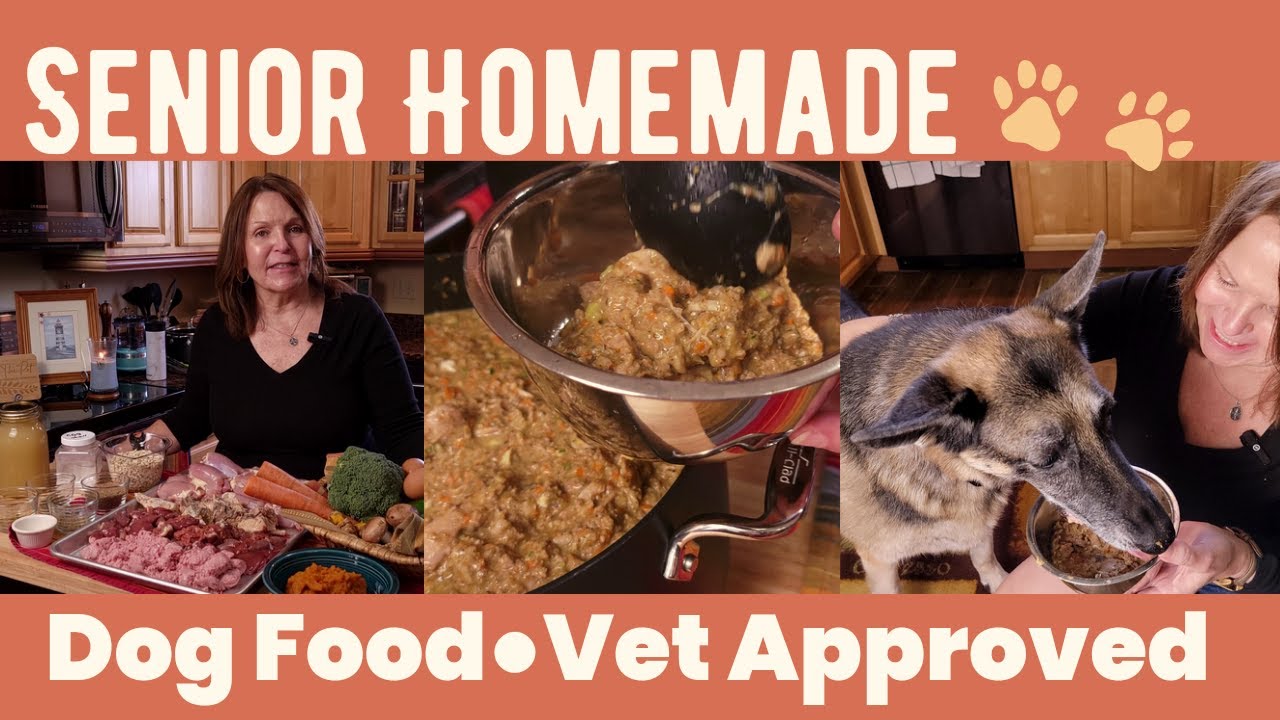 Escape Pet Health issues: Senior Homemade Dog Food (PET Approved)
