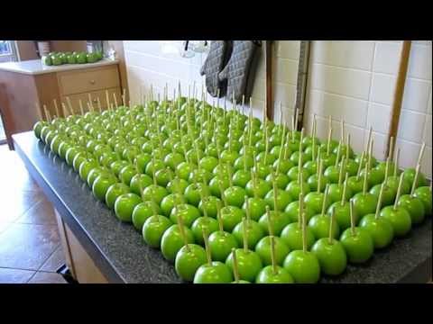 Rocky Mountain Chocolate Factory