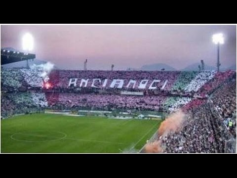 Ri...AndiAmoci: La cavalcata del Palermo dalla 1° alla 33° giornata (serie B 2013/2014)