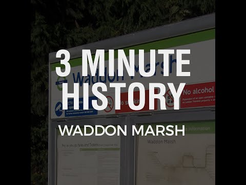 3 Minute History: Waddon Marsh