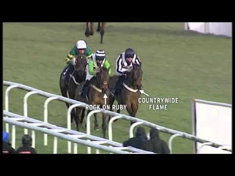 Champion Hurdle 2013 preview