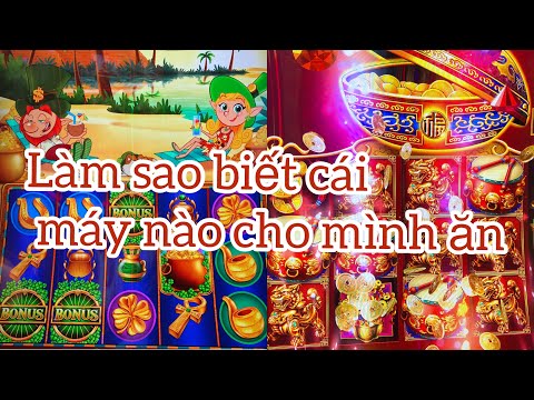 🇺🇸19:đi kéo máy ở Casino làm sao Cái máy nào biết cho mình ăn??!!