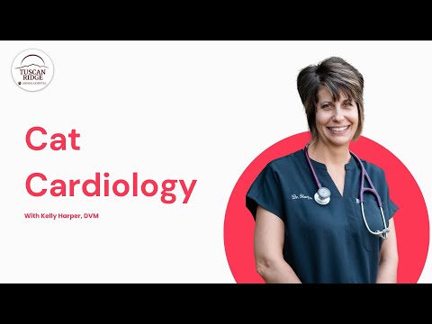 Cat Cardiology