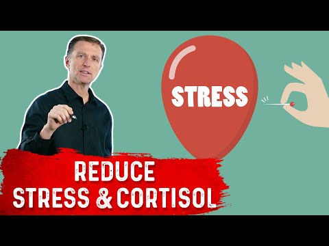 The Only Way to End Stress and Lower Cortisol