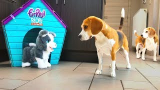 Dogs Vs FurReal Husky Puppy Prank | Funny Dogs Louie and Marie
