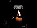 Loyal Relationship Status Shortfeed Viral Status Whatsappstatus Ytshorts