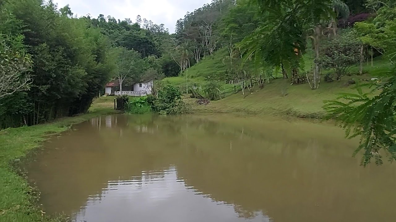 SÍTIO MAIS PARECE UM PARAÍSO EM 15 HECTARES DE PORTEIRA FECHADA - MONTEIRO LOBATO/SP