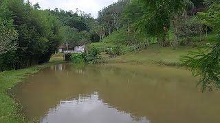 SÍTIO MAIS PARECE UM PARAÍSO EM 15 HECTARES DE PORTEIRA FECHADA - MONTEIRO LOBATO/SP