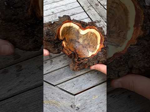 Beautiful BURL BOWL?!-  Woodturning