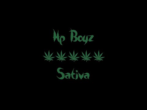 Hp Boyz - Sativa (unreleased)