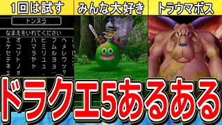 生粋のDQ5オタクが本気で考えた”ドラクエ5あるある”20連発【DQ5/ドラクエ5】