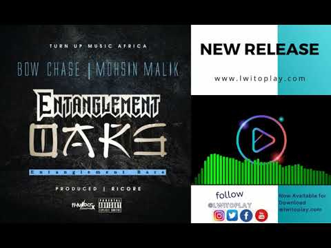 Bow Chase  - Entanglement Bars x Mohsin Malik (Official Audio)