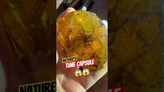 Amber Gemstone - Jurassic Time Capsule 🦕🪨 #wonderclips
