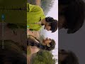 Sagaa Yaayum Yaayum Song Female Version Tamil Love Whatsapp Status Full Screen 4k