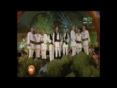 Junii de la Jidvei - live - Cântece din repertoriului lui Felician Fărcașiu