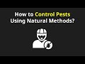 247 Pest Control Services,Carpet Cleaning,sofa Cleaning,Plumbing,AC Repairs