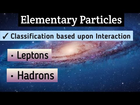 Elementary Particles | Classification based upon Interaction | Leptons | Hadrons | Particle Physics