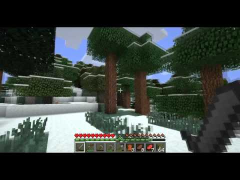 Let's Play TerraFirmaCraft ~ Ep. 5 ~ Still Problems