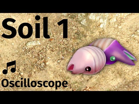 Soil 1 - Pikmin 2 (High Quality + Oscilloscope)