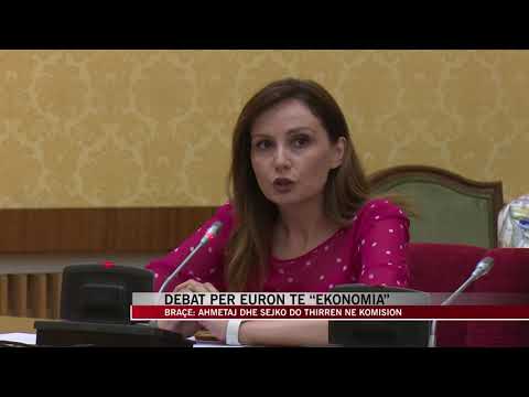 Debat për euron te Komisioni i Ekonomisë - Show - Vizion Plus