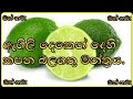 Agili Deken Dehi Kapana Manthraya Agili Deken Dehi Kapima Dehi Kapima Gurunnanse