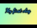My First Vlog Viral Honey World Vlogs