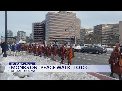 Buddhist monks continue ‘Walk for Peace’ through Alexandria