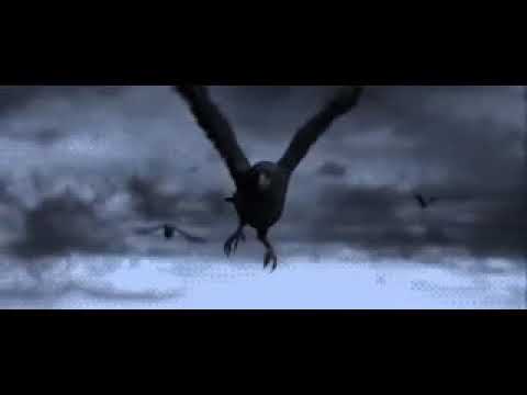 AENEAS - ARIGATO con CHEROKE (PROD. KARVOH)