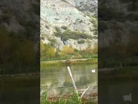 Refugio de aves en Jujuy Tumbaya