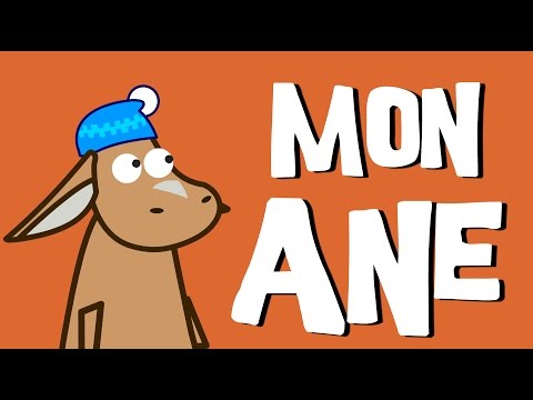 Mon Âne - [Les Comptines du Zoo]