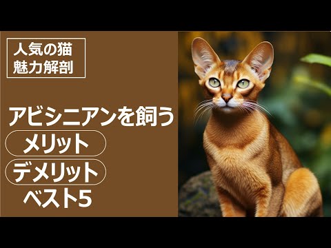 イヌシメンシス