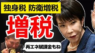 【増税】独身税 過去最高の電気代 再エネ賦課金 防衛増税 手取りが減ります キシキン解説