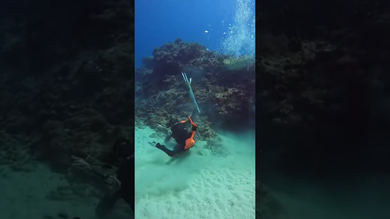 Pure power! Massive Grouper takes down the diver. 🐟💥🤿