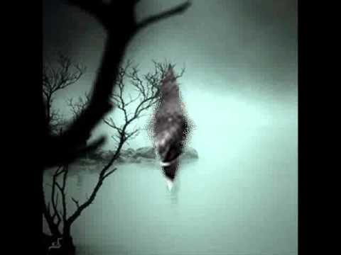 Idisenfluch - Ein Letzter Hauch Von Leben