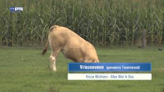 preview picture of video 'Mooi Overijssel - Vriezenveen (2)'
