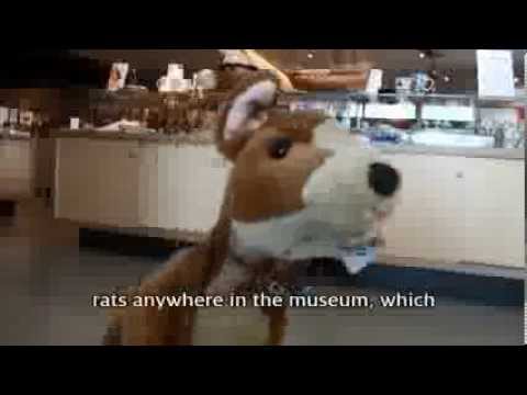 Hatch - The Ship's Dog at the Mary Rose Museum