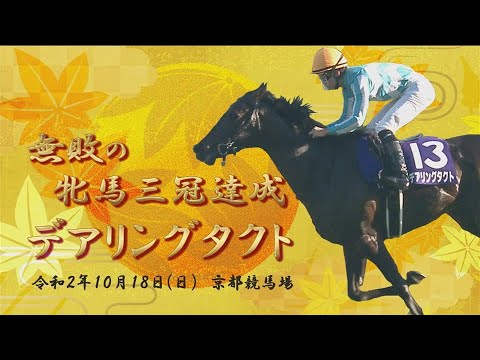 2020年秋華賞　デアリングタクトカメラ