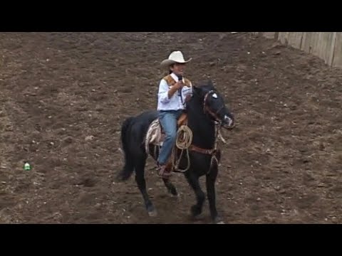 Josue Lagos - Hermosísimo Lucero