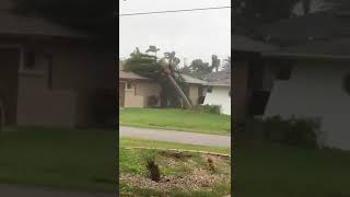 Polaco con Del Prado