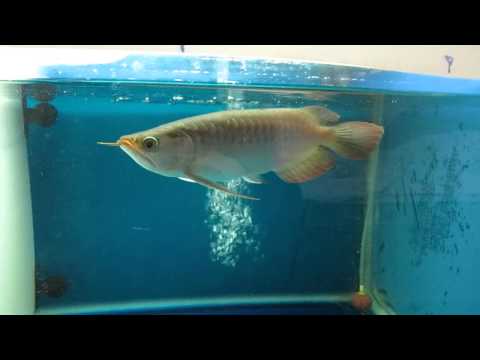 TMT3 & Hengki (28.Sep.2014)