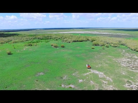 MABU BURU LIFESTYLE EPISODE 2 - Goanna hunting with Ubbie and the boys.