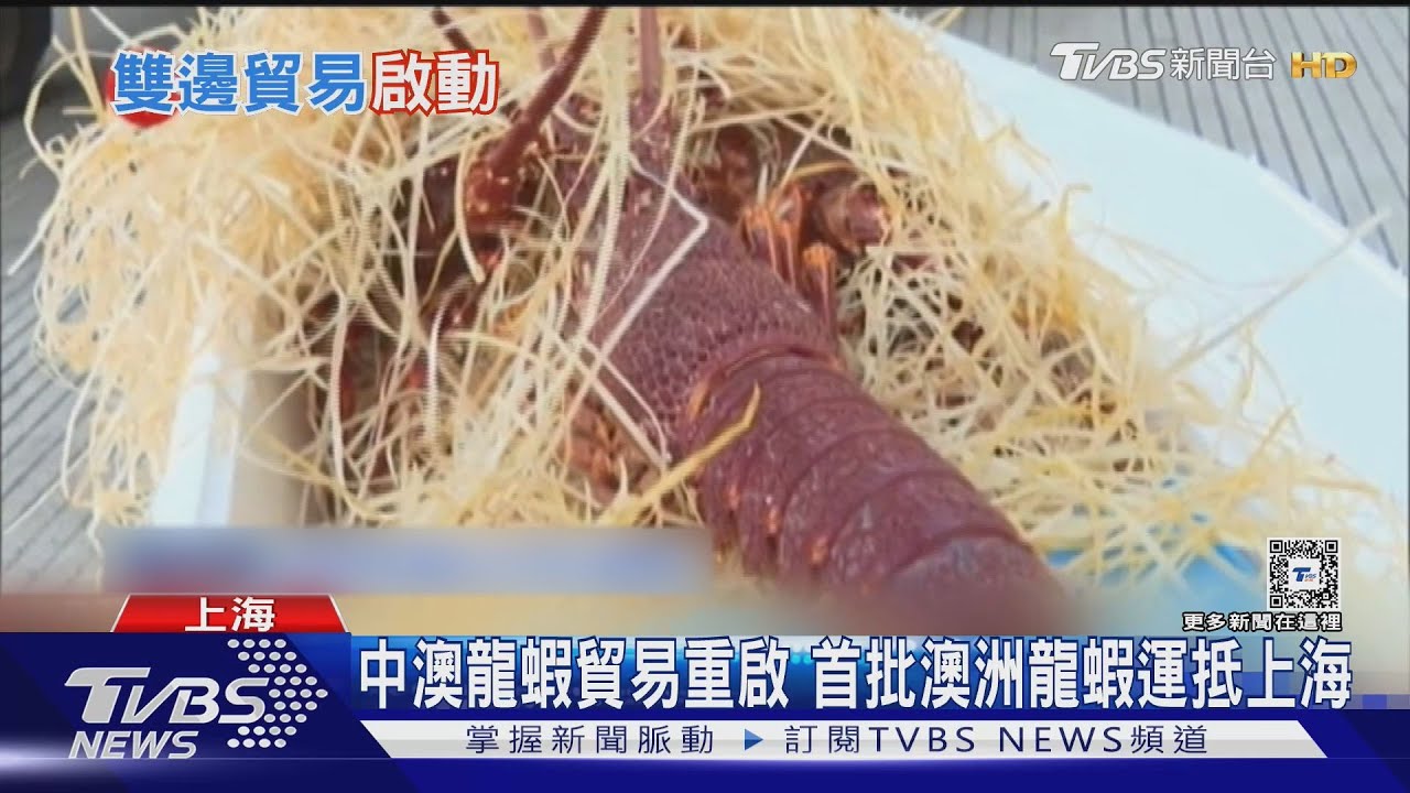 中澳龍蝦貿易重啟　首批澳洲龍蝦運抵上海
