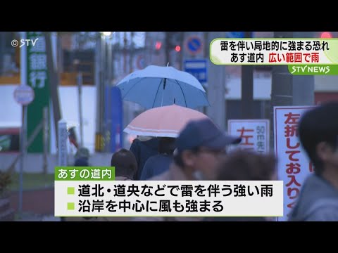 庭を雨から守る: この春の洪水と戦うために今すぐ植えるべき 5 本の木  庭園