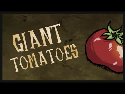 Don't Starve Together: Growing Giants - Toma Root (Tomato) Crops