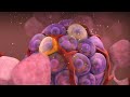 How Diabetes Destroys The Human Body