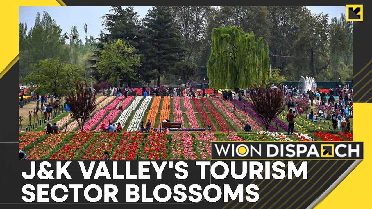 India: Nearly 4 Lakh People Visited Asia's Largest Tulip Garden In April | WION Dispatch
