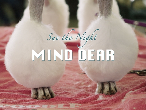 Sue the Night - Mind Dear (Official Video)